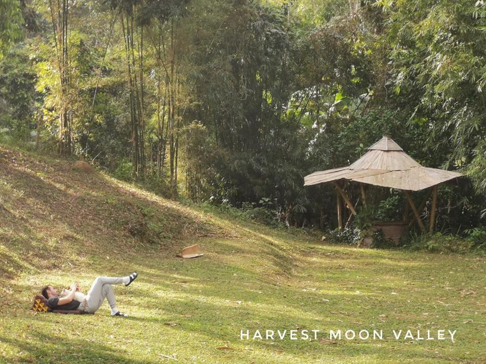 Ban Pang Luang Harvest Moon Valley מראה חיצוני תמונה